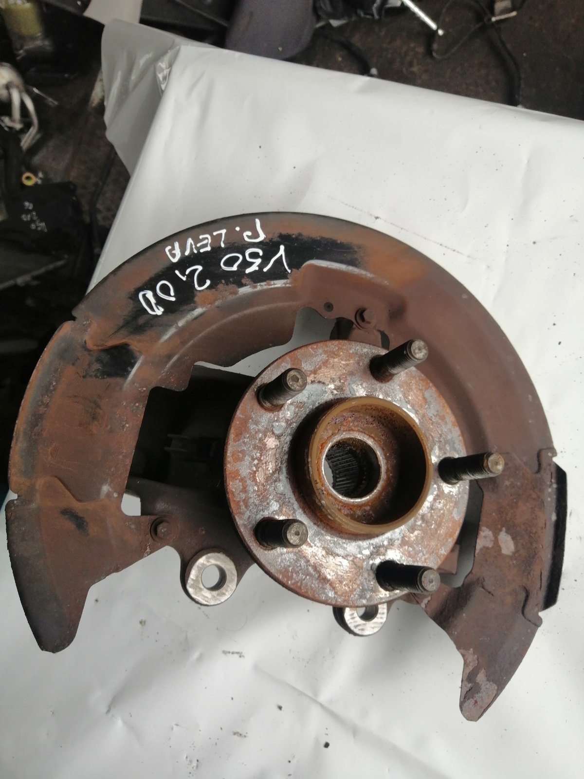 Glavčina levo 31212947